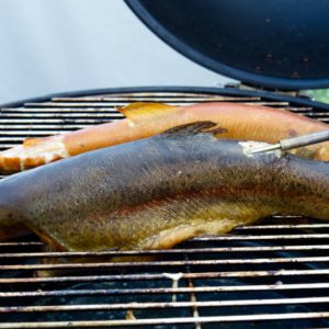 Warm, smoked trouts