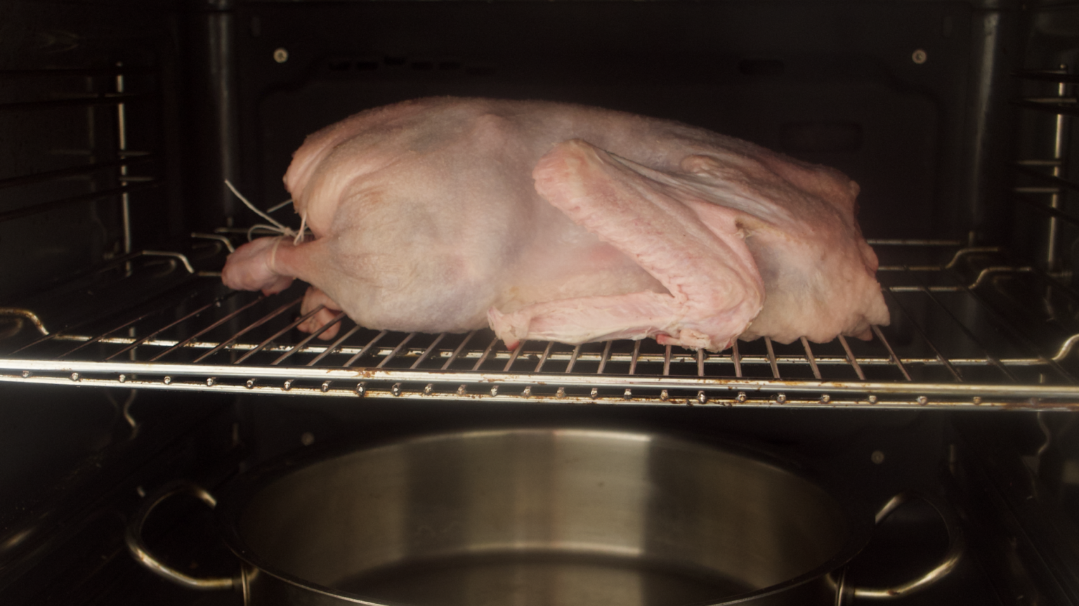 Easy German Roasted Goose Recipe